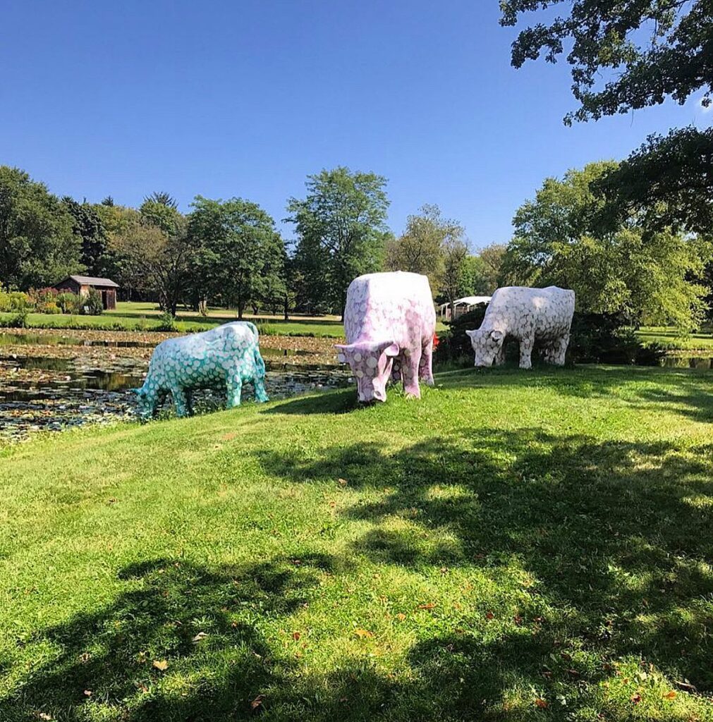 cow sculptures at Lynden Sculpture Garden in River Hills Wisconsin